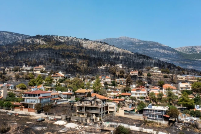 Vue aérienne des collines de Fyli ravagées par des incendies dans la région de Acharnes, au nord d'Athènes, le 24 août 2023
