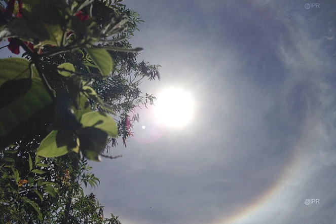 Halo