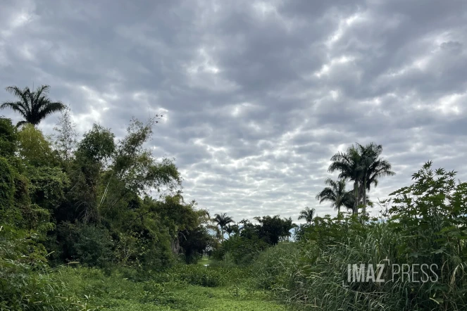 nuages et nature au Tour des Roches