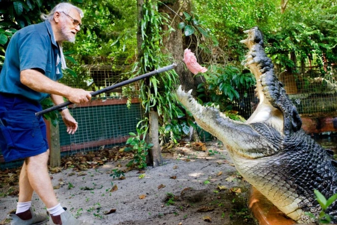 Cette photo fournie par Marineland Melanesia a été prise le 19 mai 2010. Elle montre George J. Craig nourrissant le crocodile Cassius.