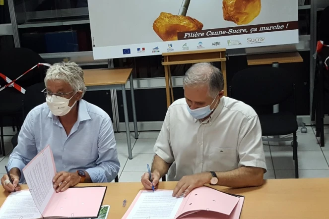 Signature d'un nouvel accord-cadre entre le Cirad et eRcane