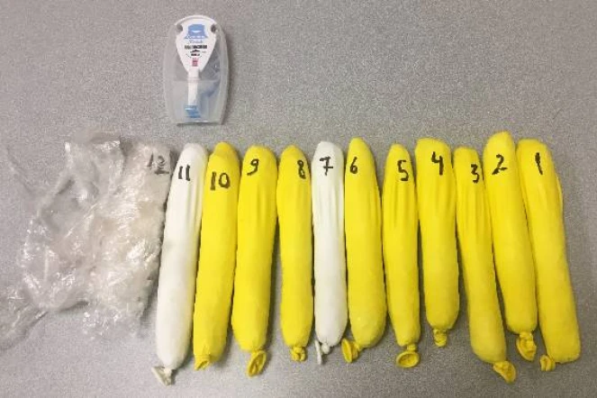 681 grammes de cocaïne saisis dans les bagages d'un voyageur