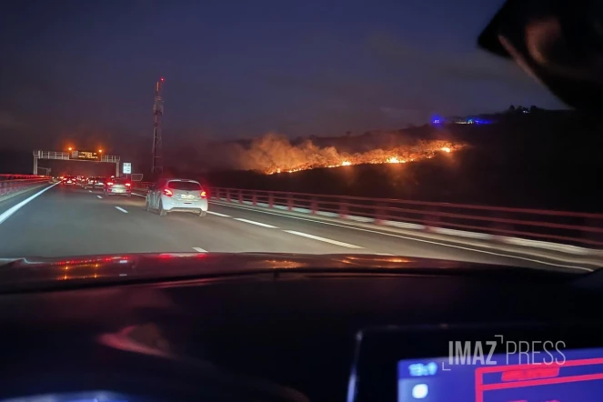 Incendie dans la savane