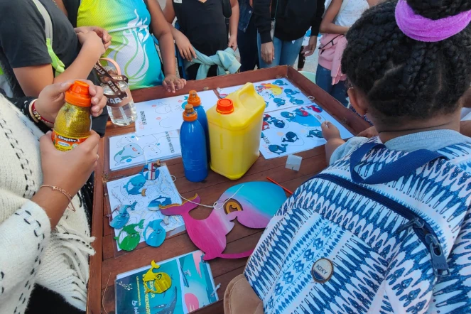 Territoire de l'Ouest : découvrir ce qui se passe dans la mer 