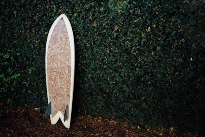 L\'américain Taylor Lane fabriquait une planche de surf à base de 10 000 cigarettes. (Photo DR)