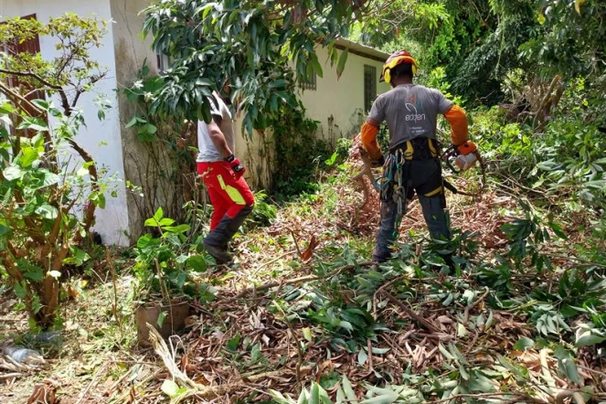 Cyclone Garance : le Département sollicite la SPL Edden pour des interventions d'urgence