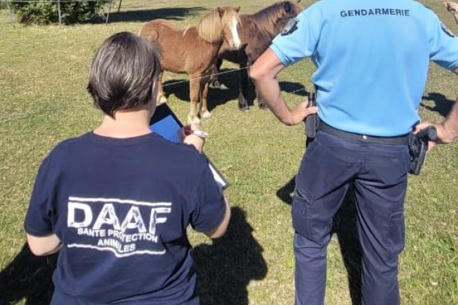 Contrôles de gendarmerie