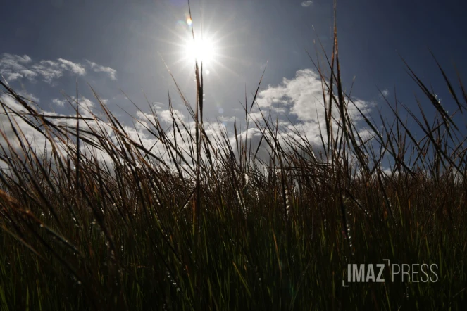 météo réunion soleil