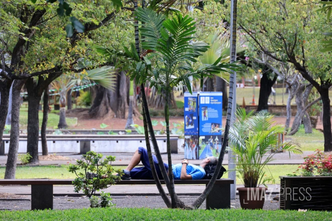 sieste jardin de l'état 