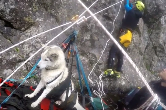 sauvetage d\'un chien dans un canyon