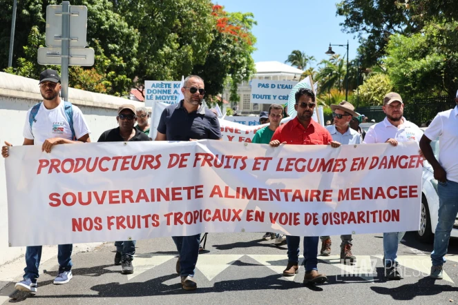 manifestation agriculteurs