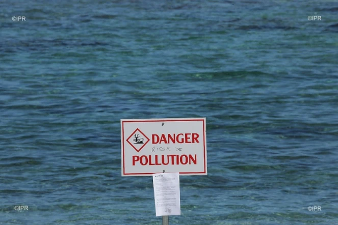 pollution plage 