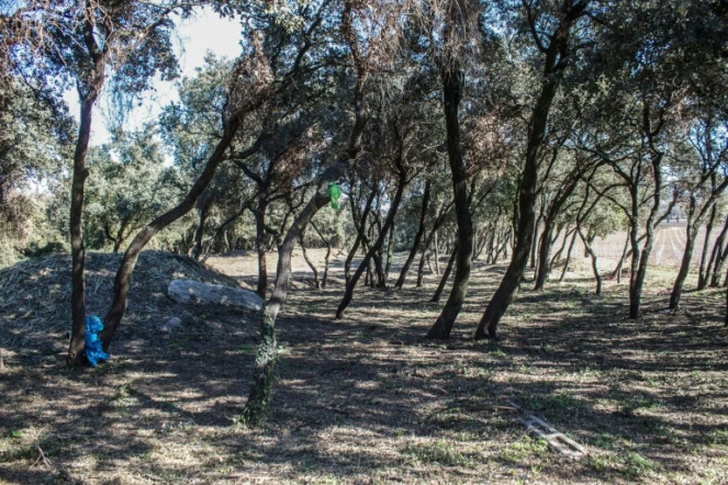 Un cimetière sauvage où sont enterrés des enfants de Harkis, à Laudun-l'Ardoise, le 5 février 2022 dans le Gard