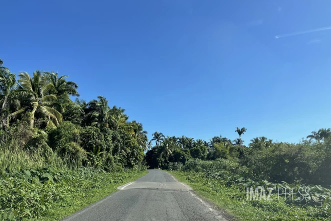 Météo réunion