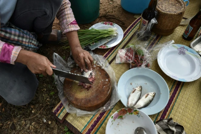 Un fermier thaï prépare un plat de poisson cru à Khon Kaen, dans le nord-est de la Thaïlande, le 20 mai 2017