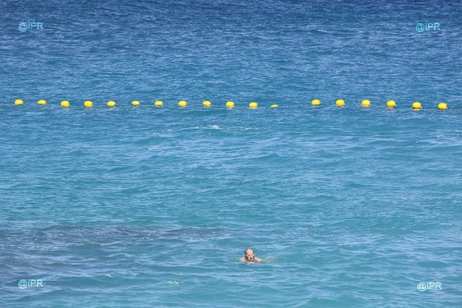 Filets anti requins plage de Boucan 