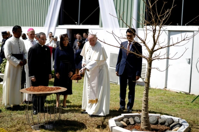 Le pape muni d'une pelle jette de la terre au pied d'un baobad tout juste planté en présence du président malgache Andry Rajoelina, le 7 septembre 2019 au palais présidentiel d'Antananarivo