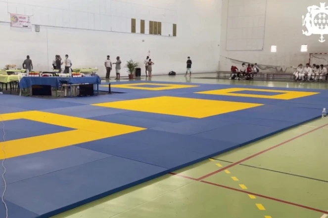 Saint-Leu : de nouveaux tatamis pour les judokas 
