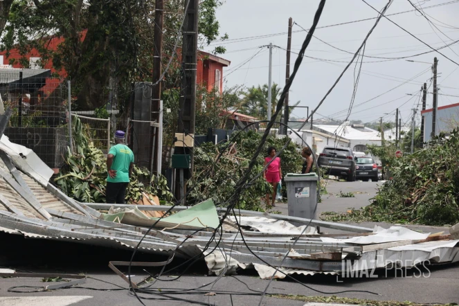 Garance : La Réunion, l'île en phase de sauvegarde