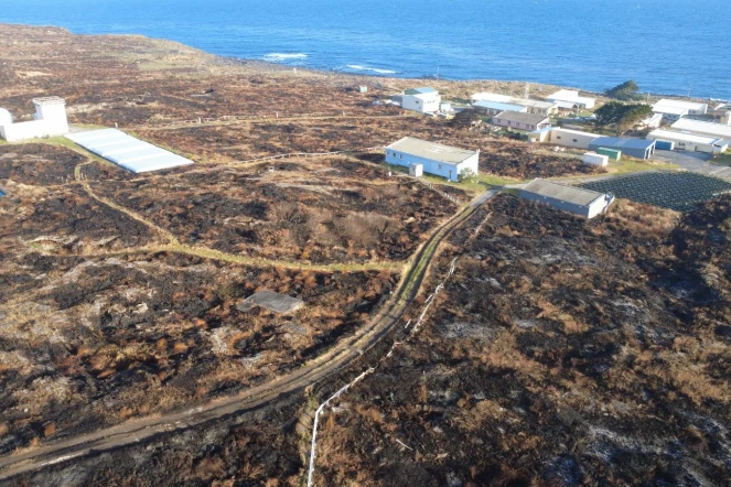 Incendie île Amsterdam