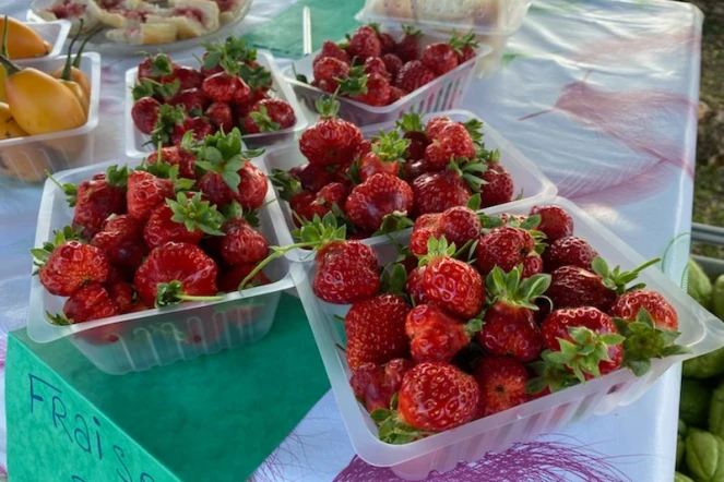 fraises péi vendu dans le quartier de Mont Roquefeuil