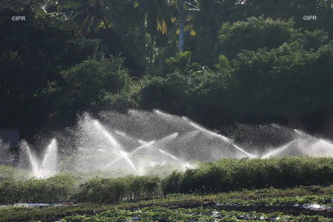 Irrigation 
