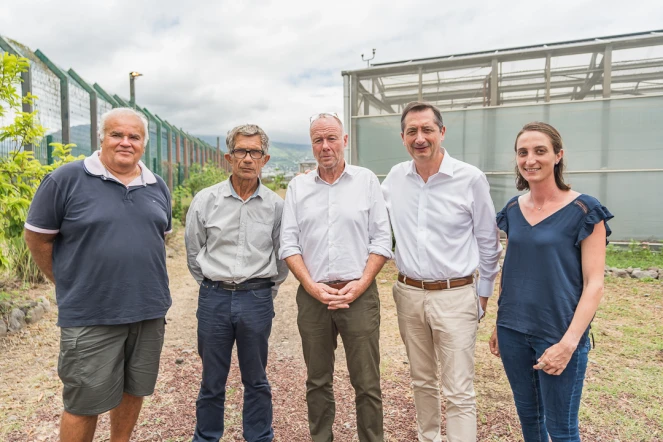 Agrivoltaïsme à La Réunion : 15 années où l'électrique et l'agricole travaillent ensemble 