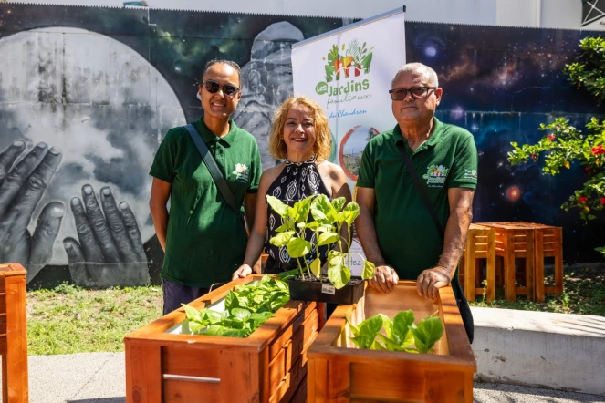 Jardinnières distribuées pour le RUCH Saint-Denis