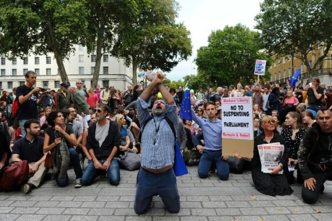 Manifestation contre la suspension du Parlement britannique le 28 juin 2010 devant le 10 Downing Street à Londres