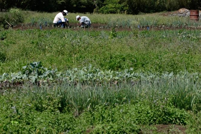 Agriculture