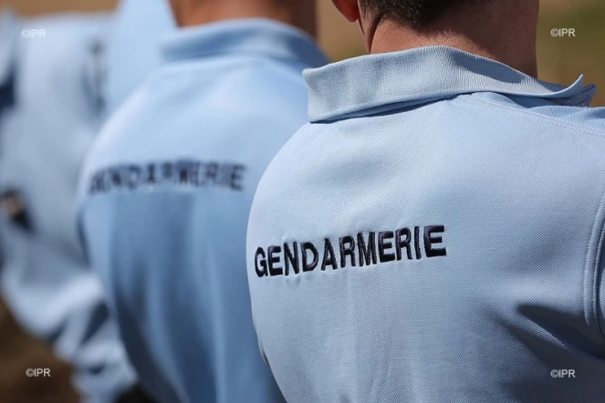 Gendarme 