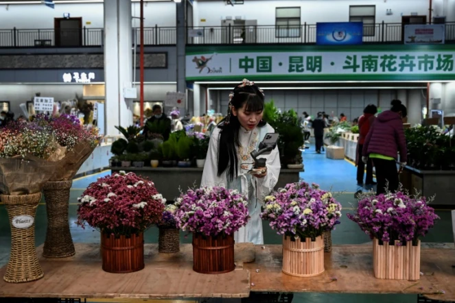 Une influenceuse propose en direct via son smartphone des bouquets aux internautes depuis le marché aux fleurs de Dounan à Kunming, en Chine, le 22 octobre 2021