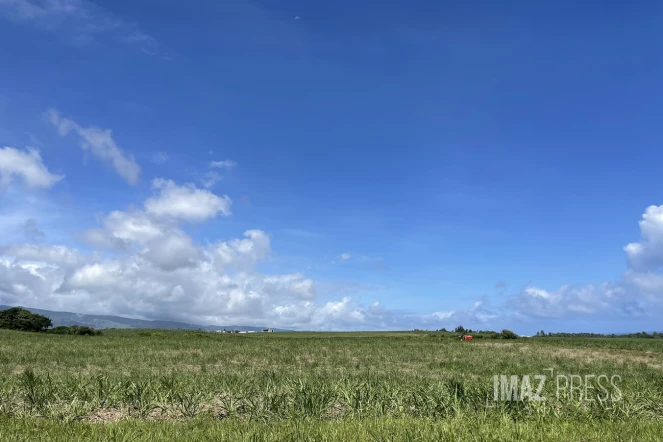 La météo sur La Réunion soleil