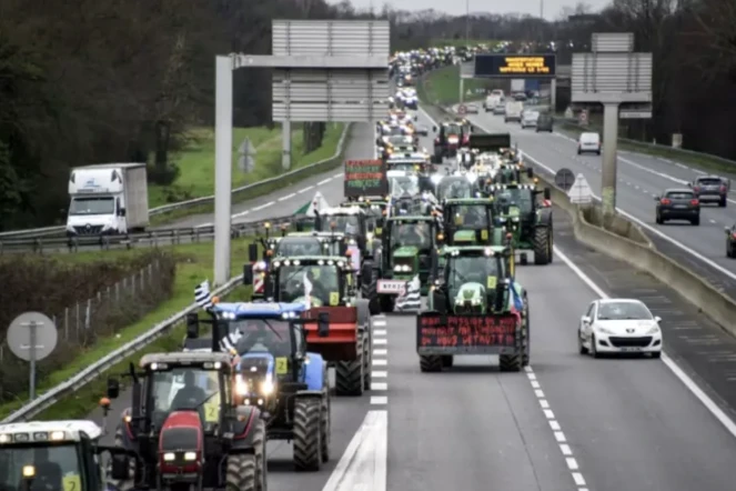 Des agriculteurs en tracteur sur la rocade de Rennes, le 1er février 2024 en Ille-et-Vilaine ( AFP / Sebastien SALOM-GOMIS )