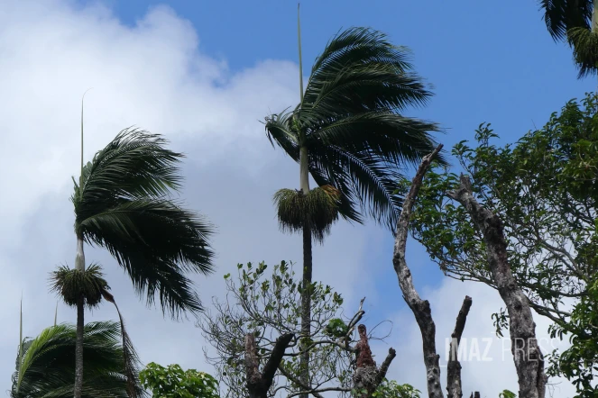 La météo sur La Réunion