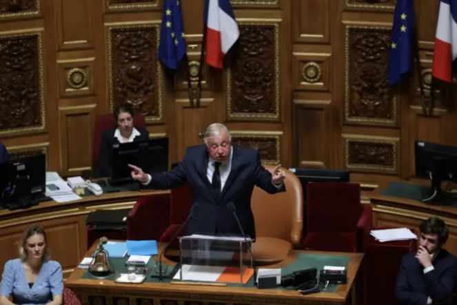 Gérard Larcher s'adresse aux sénateurs après sa réélection à la présidence du Sénat, le 2 octobre 2023, à Paris ( AFP / Thomas SAMSON )