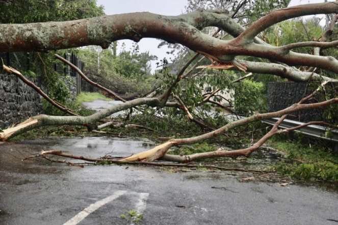 cyclone intense Batsirai 3 février 2022 la montagne