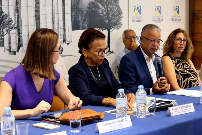 La septième édition du Gran 20 Desanm à Villèle placée sous le signe de la solidarité envers Mayotte [?]