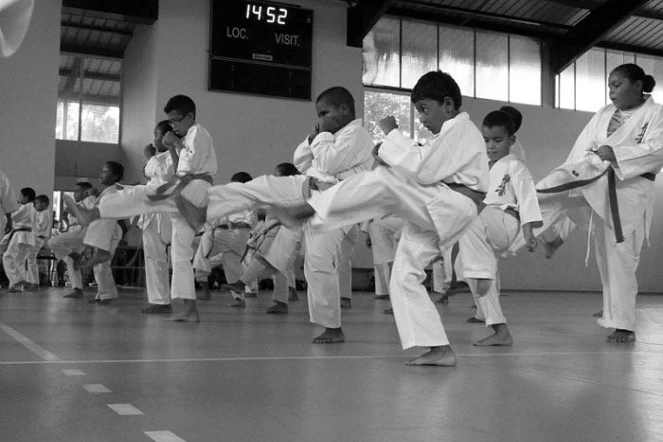 Phoenix Kyokushinkai Karaté