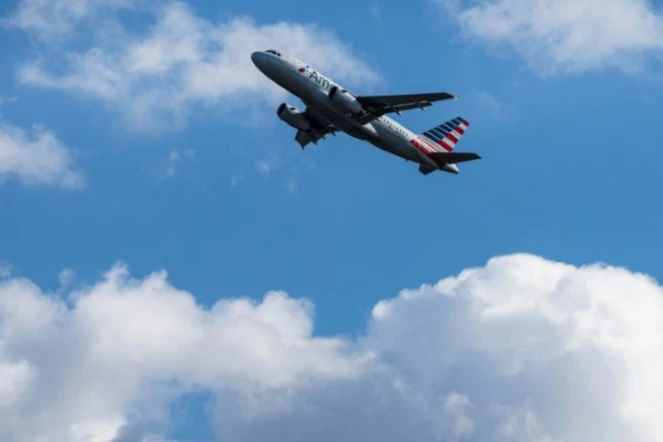 Un avion d'American Airlines le 23 novembre 2021 à Arlington - Drew Angerer © 2019 AFP