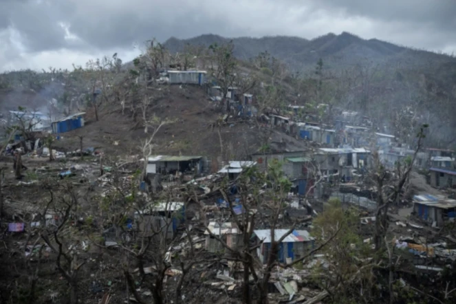 Des cabanes de tôles déjà reconstruites à Cavani, quartier pauvre de Mamoudzou, à Mayotte, le 2 janvier 2025 ( AFP / JULIEN DE ROSA )