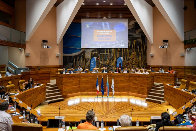 Assemblée plénière du Conseil économique social et environnemental régional