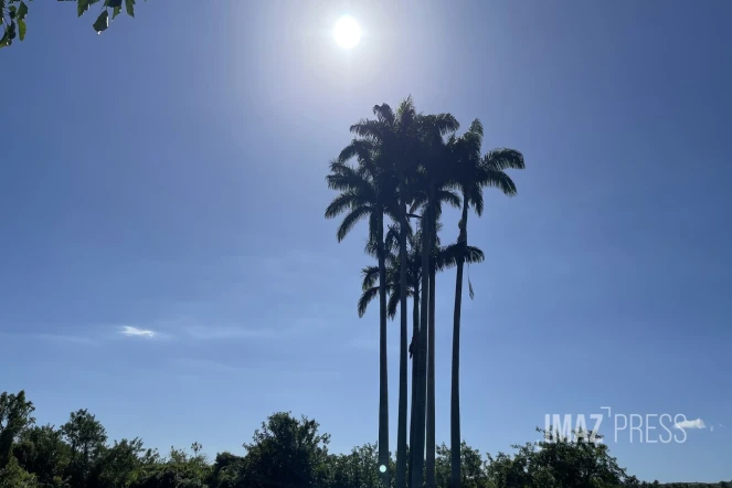 météo réunion