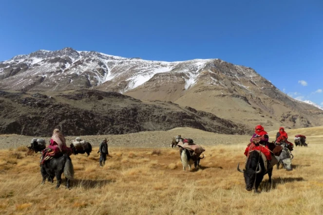 Des familles kirghizes se déplacent à dos de yaks, le 7 octobre 2017 dans le corridor de Wakhan, dans l'extrémité nord-est de l'Afghanistan