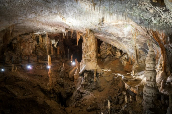 A Postojna, un réseau de grottes qui s'étend sur 24 kilomètres