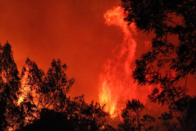 Mardi 25 octobre 2011

Incendie sur la route forestière du Tévelave