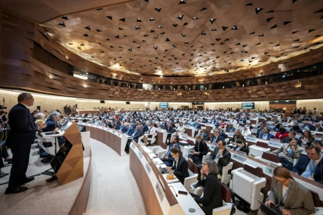 Le patron de l'OMS Tedros Adhanom Ghebreyesus, à gauche, lors de l'assemblée générale à Genève, le 19 mai 2025