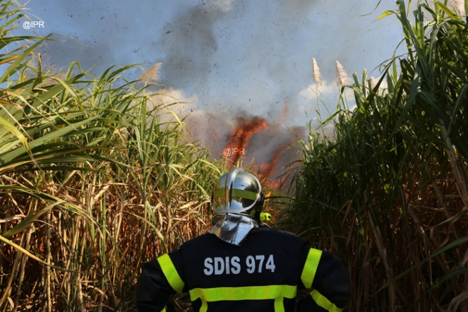 Mardi 3 juillet 20132 - Saint-Denis - Incendie dans des champs de cannes à Domenjod
