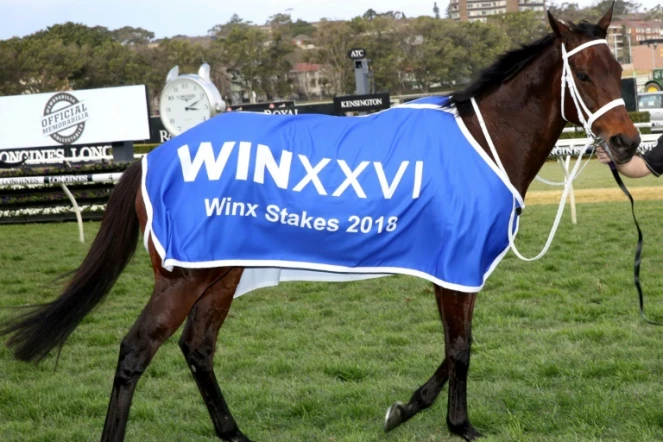 La jument Winx, à l'issue d'une victoire dans une course, le 18 août 2018 à Sydney