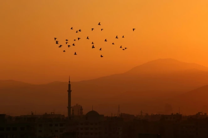 Coucher de soleil à Arbin, le 7 mars 2017 dans la région de la Ghouta orientale, à l'est de Damas